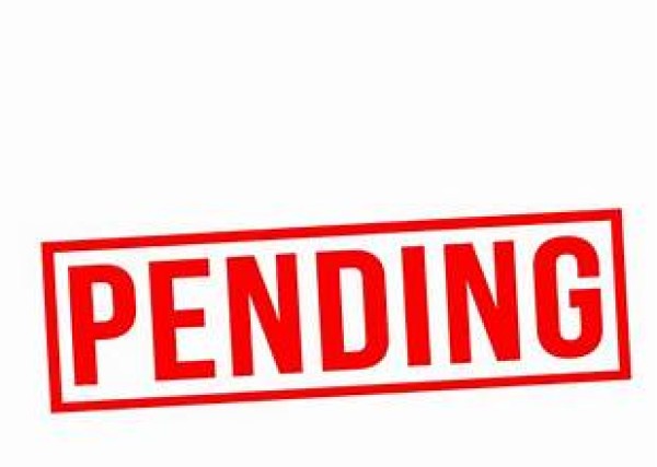 Vietnam Visa Pending with Flight Within 48 Hours – Emergency Support for US Citizens